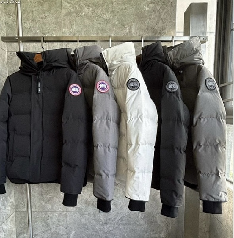 Canada Goose